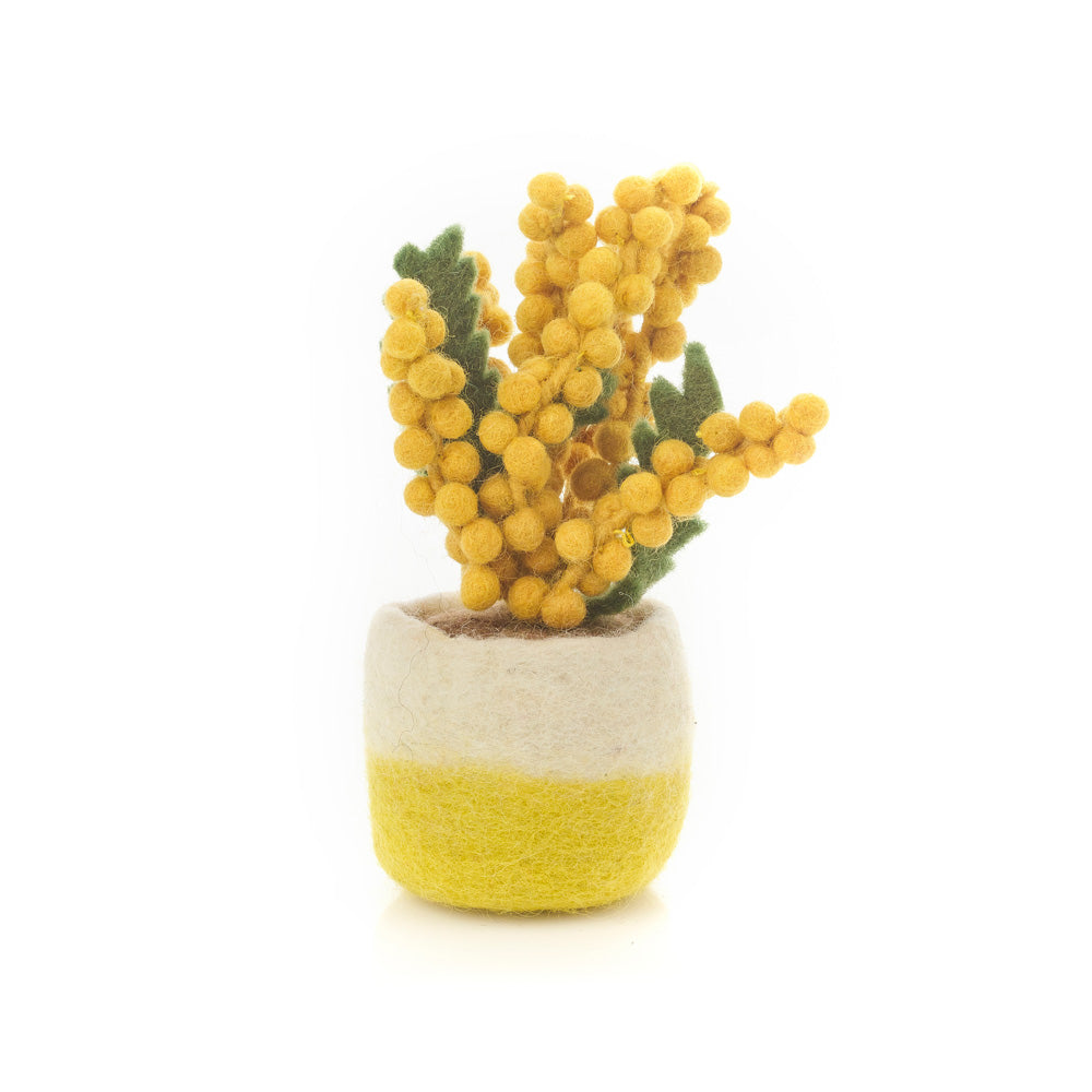 Handmade Felt Happy Houseplants Artificial Plant Cactus Decoration