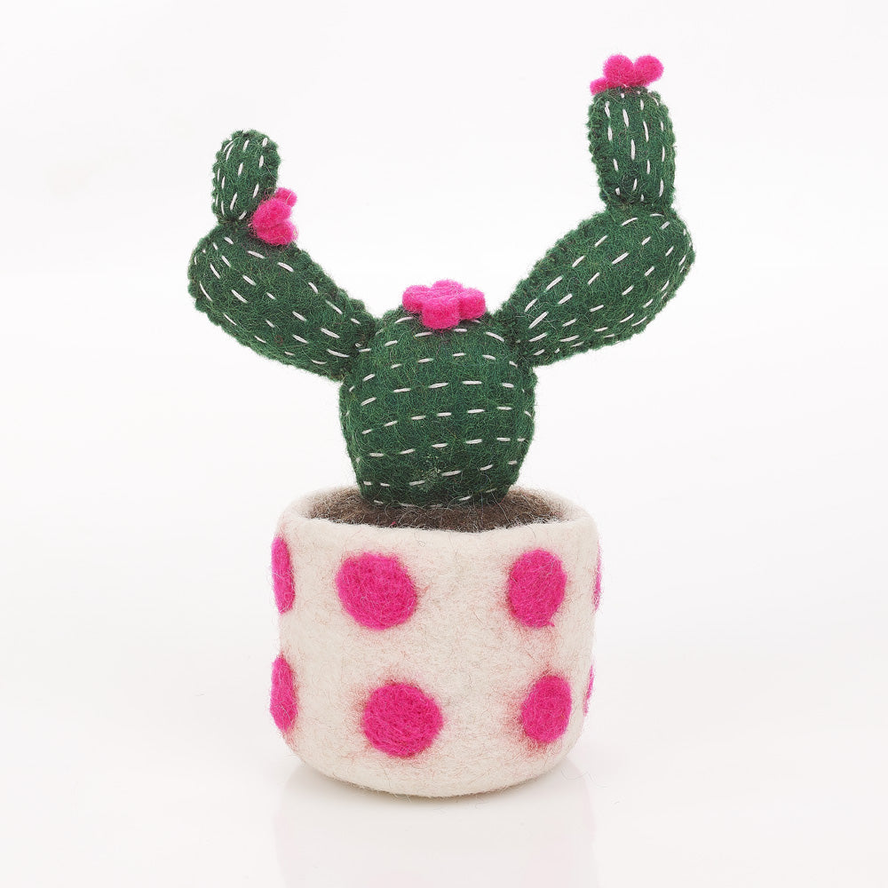 Cactus Opuntia (spotty base)