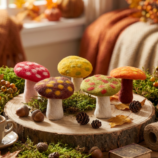 Handmade Felt Biodegradable Toadstool Decoration