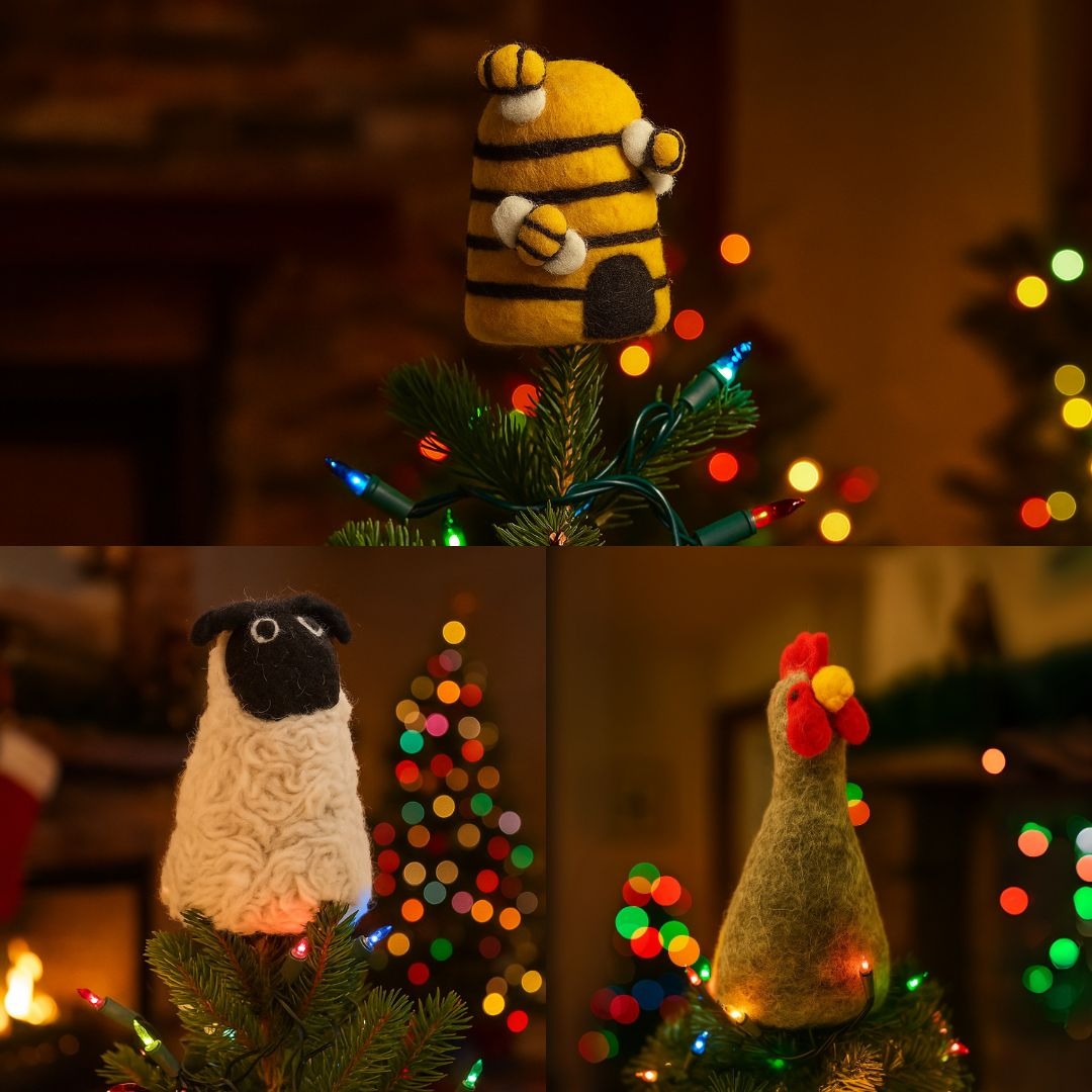 Handmade Felt Egg Farmyard Friends Biodegradable Tree Toppers