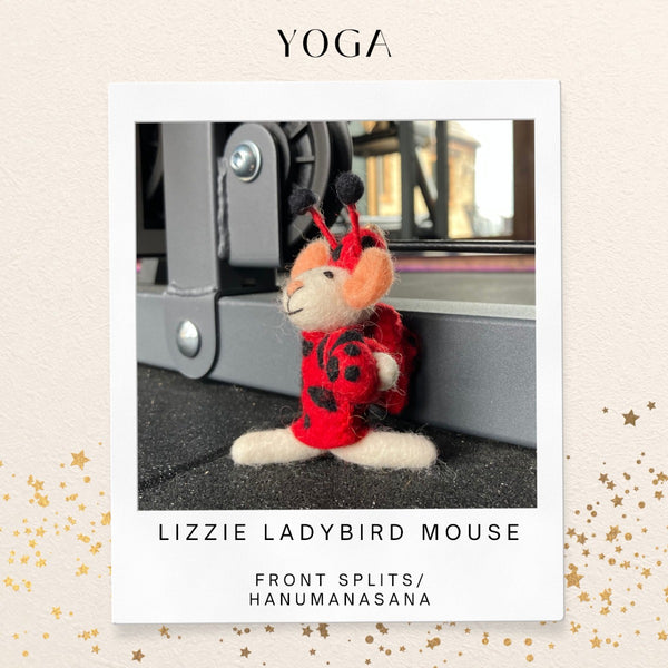 Handmade Felt Lizzie the Ladybird Mouse Spring Hanging Decoration